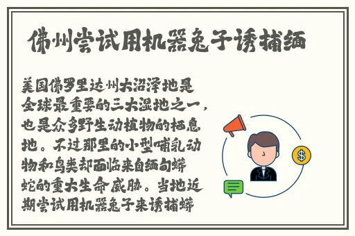 久久久久久久精品国产亚洲87